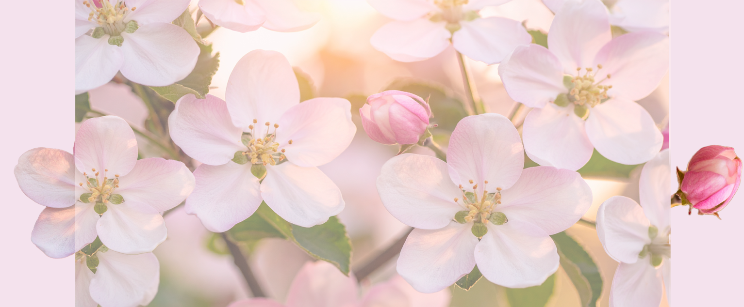 Blombild